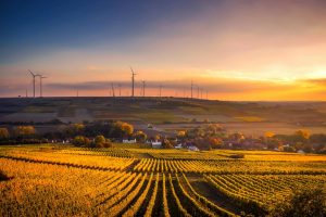 Renewable-Energy-Lawyers-Renewable-Energy-Law-Land-Rights-Cape-Town-South-Africa-9